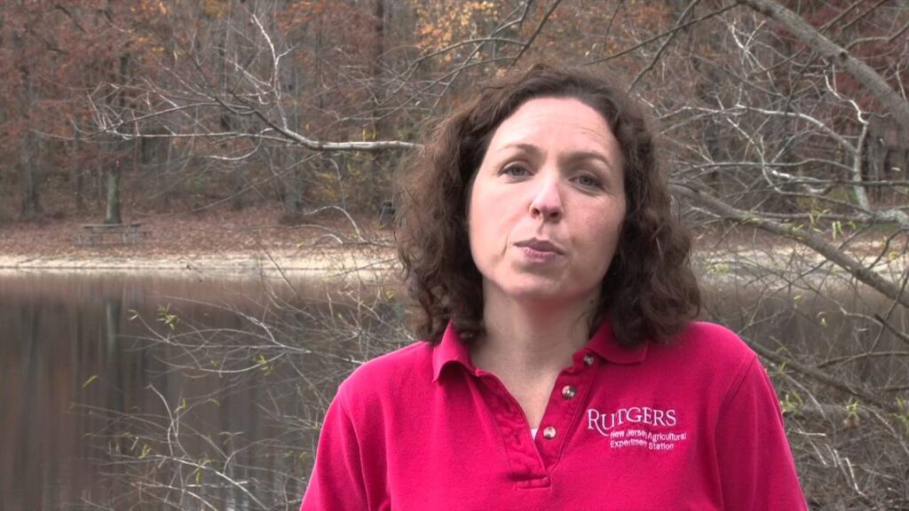 Floating Wetland Manalapan Brook Project