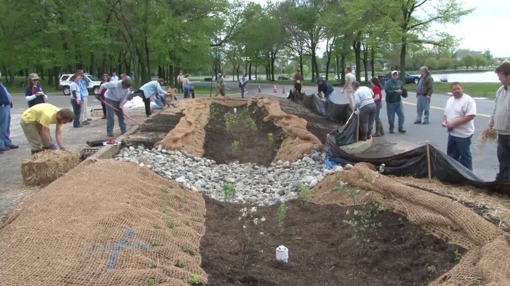 Maintenance for Stormwater Basin Naturalization Projects