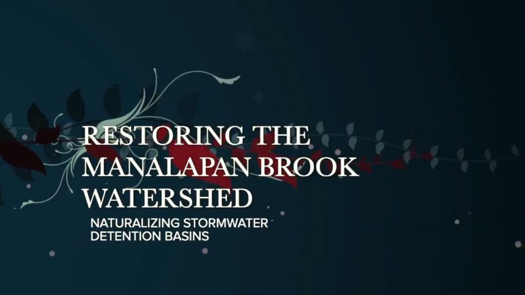 Stormwater Basin Naturalization nj